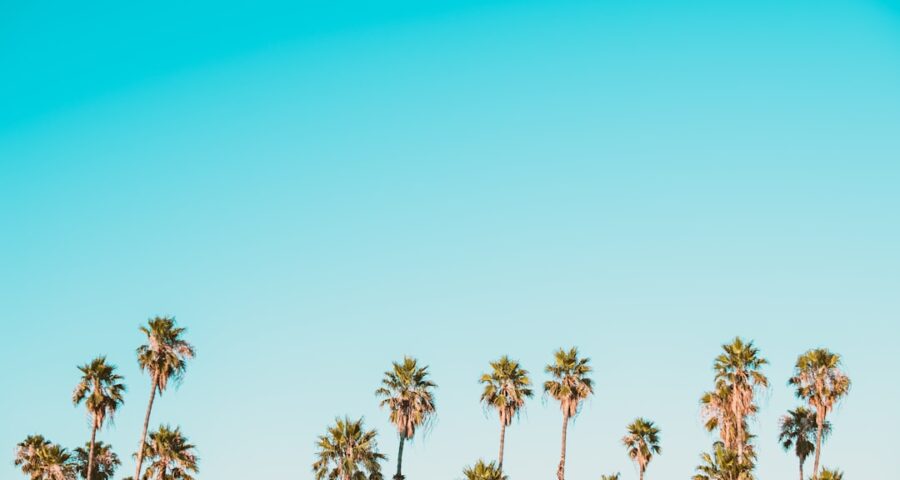 Photo streamen en gamen met 5G